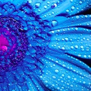 Meet your Posher, Bianca